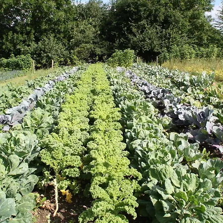 Christie's Sdr. Hostrup ホテル 3*